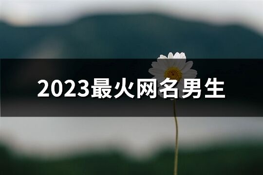 2023最火網(wǎng)名男生(共401個)