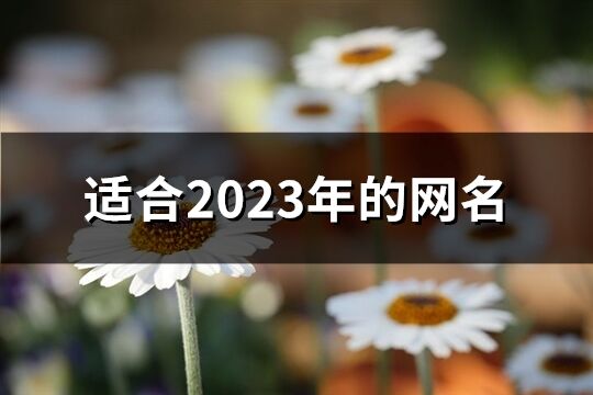 適合2023年的網(wǎng)名(1513個(gè))