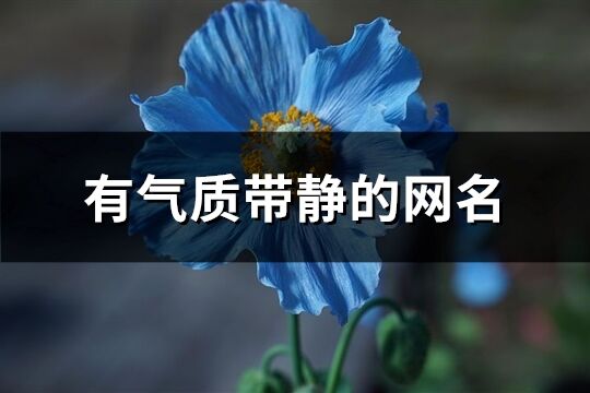 有氣質(zhì)帶靜的網(wǎng)名(優(yōu)選185個)