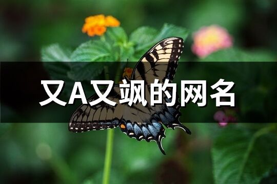 又A又颯的網名(精選126個)