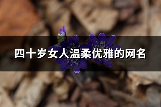 四十歲女人溫柔優雅的網名(共222個)