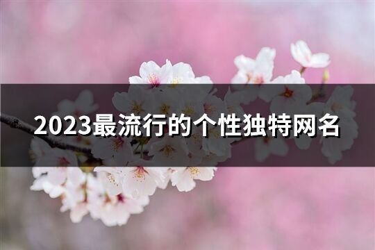 2023最流行的個性獨特網名(精選498個)