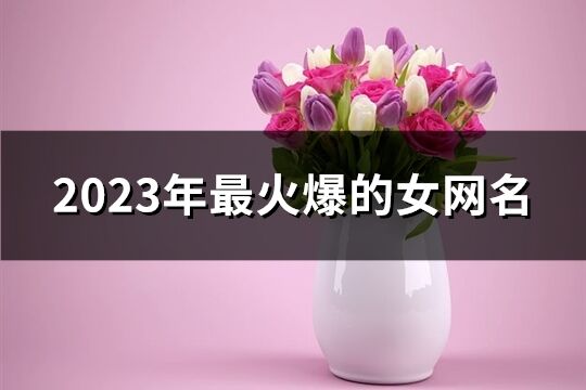 2023年最火爆的女網名(精選1561個)