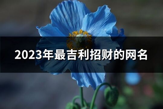 2023年最吉利招財(cái)?shù)木W(wǎng)名(優(yōu)選671個(gè))