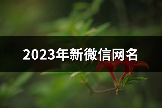 2023年新微信網名(1201個)