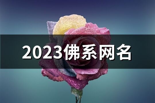 2023佛系網(wǎng)名(精選361個(gè))