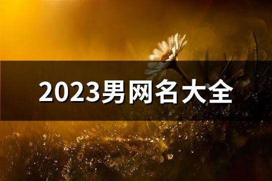 2023男網(wǎng)名大全(1066個)