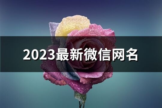 2023最新微信網(wǎng)名(共1336個)