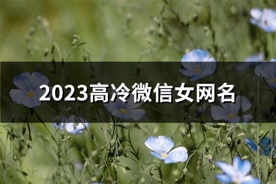 2023高冷微信女網(wǎng)名(優(yōu)選707個)