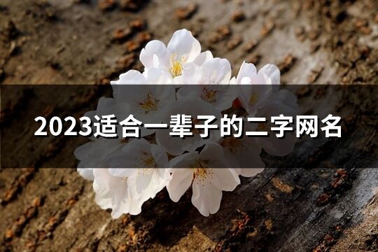 2023適合一輩子的二字網名(優選950個)