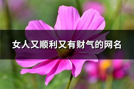 女人又順利又有財(cái)氣的網(wǎng)名(精選580個(gè))