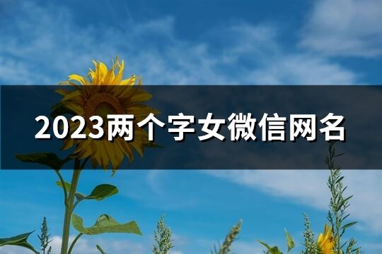 2023兩個字女微信網名(精選562個)