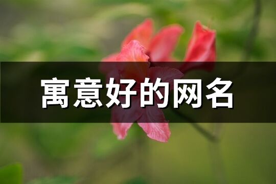 寓意好的網名(優選180個)