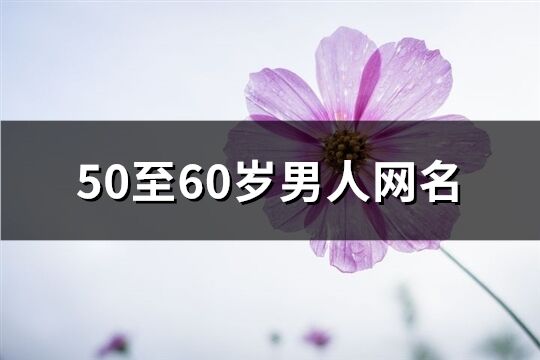 50至60歲男人網(wǎng)名(211個)