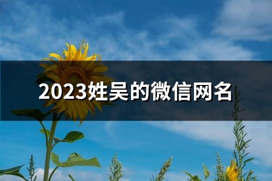 2023姓吳的微信網(wǎng)名(98個(gè))