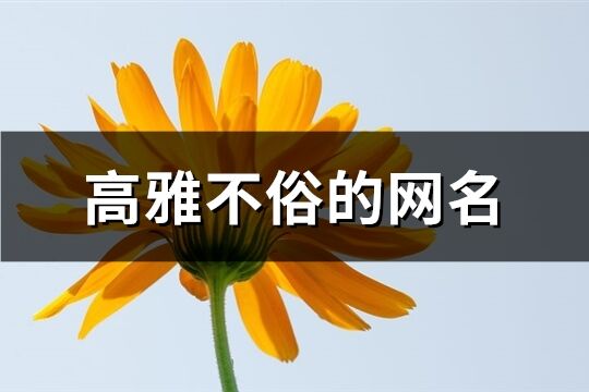 高雅不俗的網(wǎng)名(優(yōu)選298個(gè))