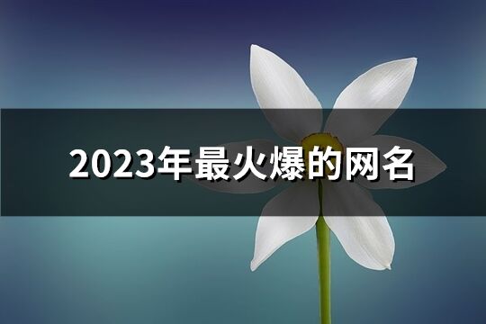 2023年最火爆的網(wǎng)名(精選885個)