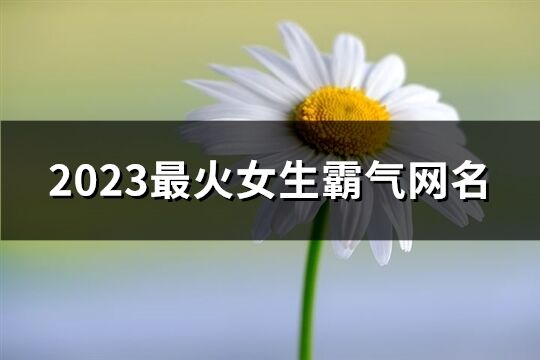 2023最火女生霸氣網名(共968個)