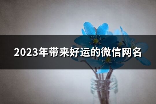 2023年帶來好運的微信網名(優選1109個)