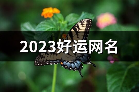 2023好運網名(共676個)