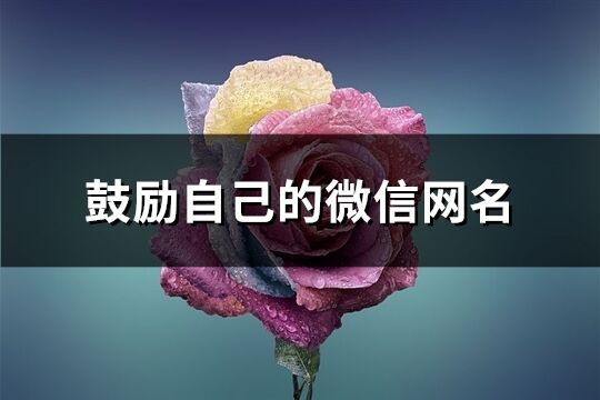 鼓勵自己的微信網名(378個)