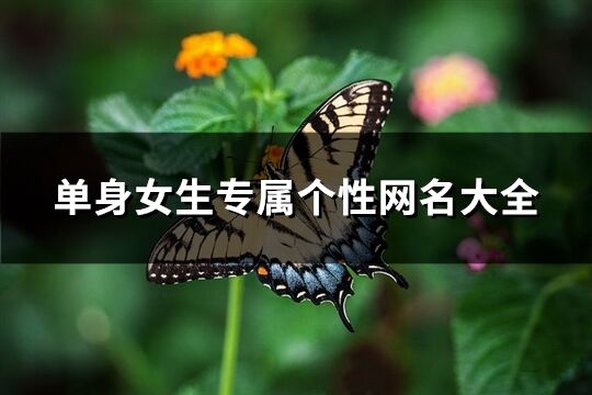 單身女生專屬個性網名大全(共212個)