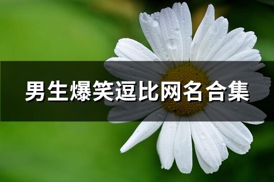 男生爆笑逗比網名合集(539個)