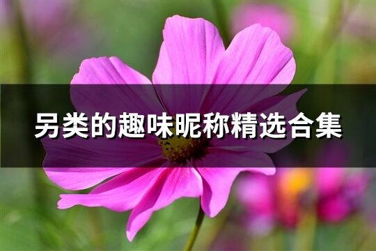 另類的趣味昵稱精選合集(精選177個)