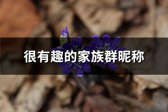 很有趣的家族群昵稱(精選291個)