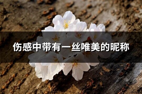 傷感中帶有一絲唯美的昵稱(chēng)(優(yōu)選219個(gè))