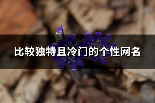 比較獨(dú)特且冷門的個性網(wǎng)名(優(yōu)選208個)