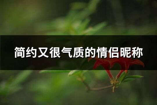 簡約又很氣質的情侶昵稱(精選263個)