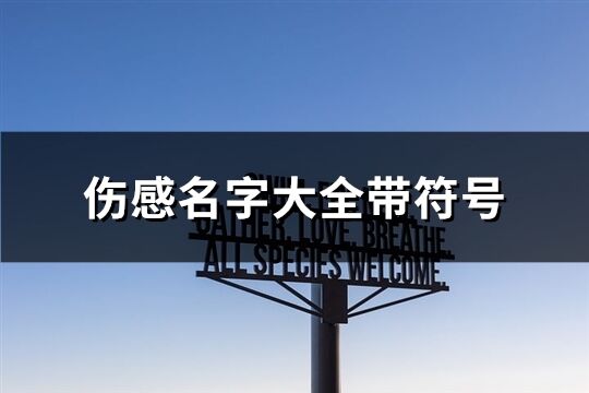 傷感名字大全帶符號(優選80個)