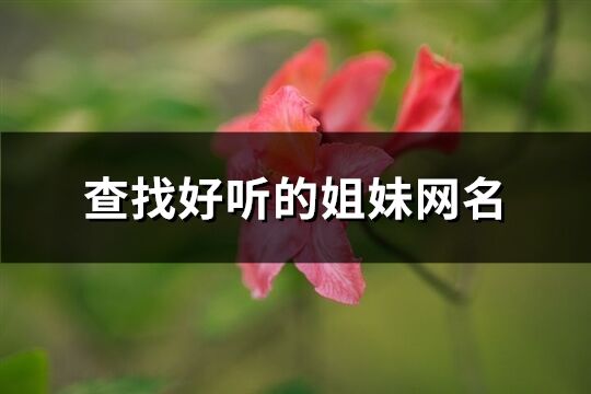 查找好聽的姐妹網(wǎng)名(284個)