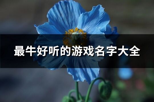 最牛好聽的游戲名字大全(611個)