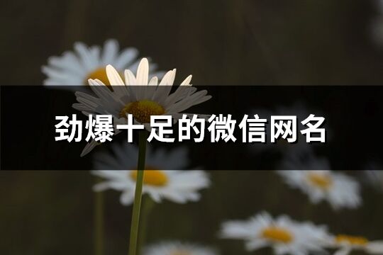 勁爆十足的微信網名(精選892個)