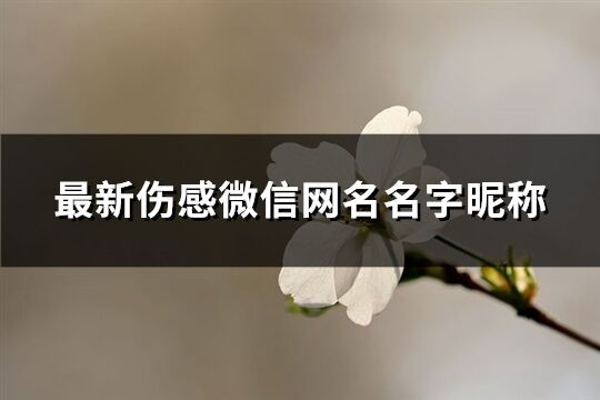 最新傷感微信網名名字昵稱(精選620個)