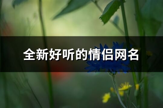 全新好聽的情侶網名(精選186個)