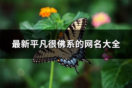 最新平凡很佛系的網(wǎng)名大全(共397個(gè))