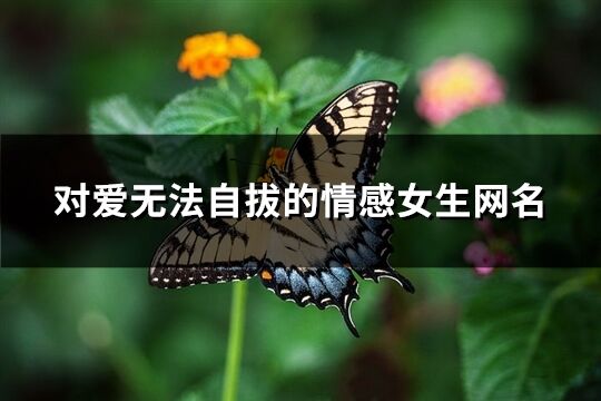 對愛無法自拔的情感女生網名(精選132個)