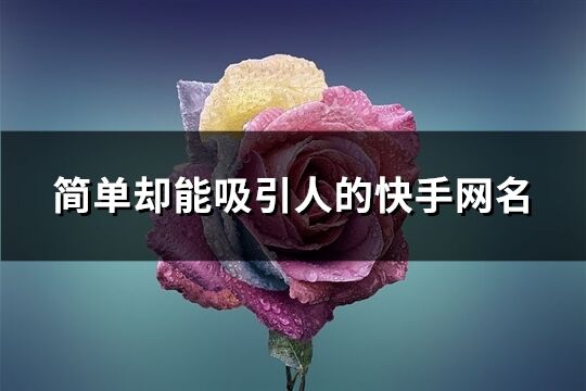 簡單卻能吸引人的快手網名(434個)