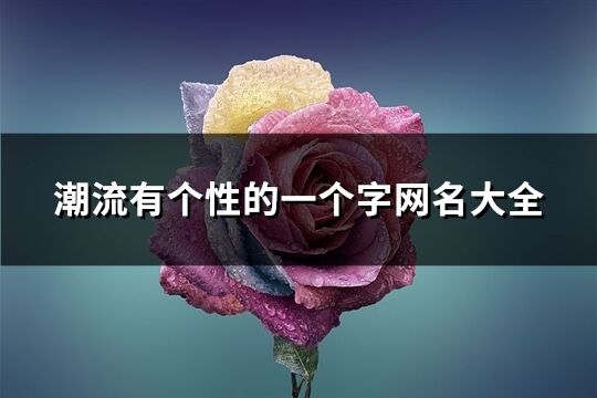 潮流有個性的一個字網名大全(精選411個)