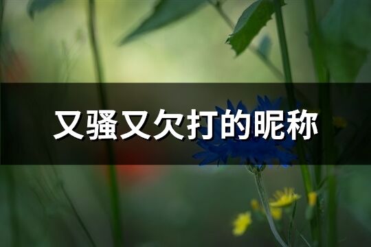 又騷又欠打的昵稱(優選355個)