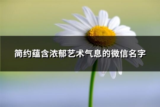 簡約蘊含濃郁藝術氣息的微信名字(共733個)