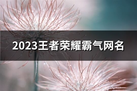 2023王者榮耀霸氣網名(共208個)