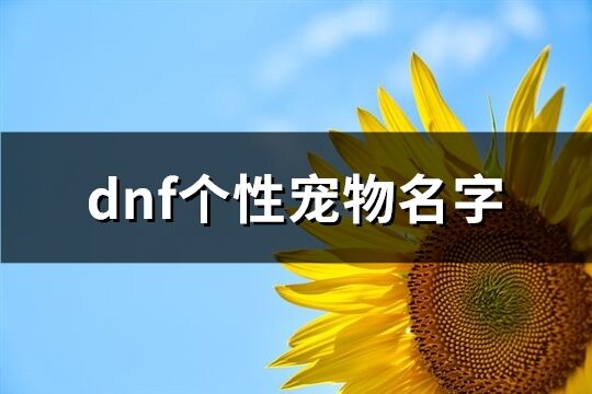 dnf個性寵物名字(共401個)