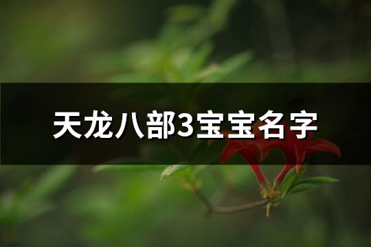 天龍八部3寶寶名字(共464個(gè))