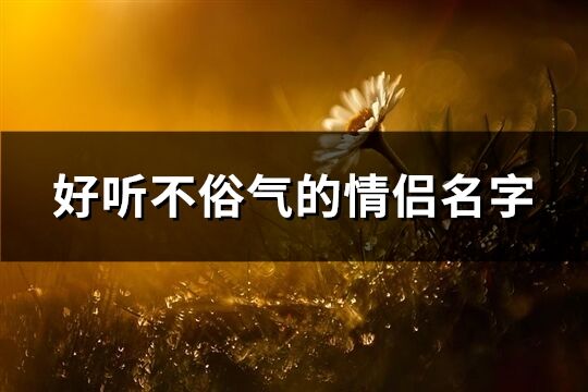 好聽不俗氣的情侶名字(共173個)