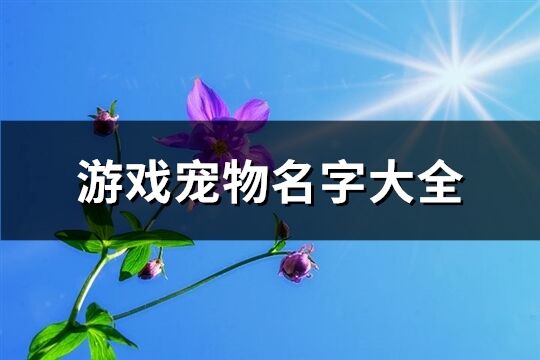 游戲寵物名字大全(優選385個)