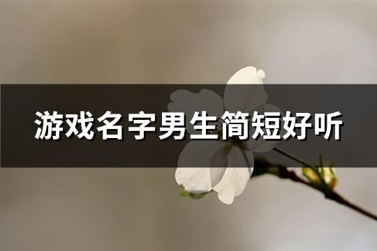 游戲名字男生簡短好聽(共946個)